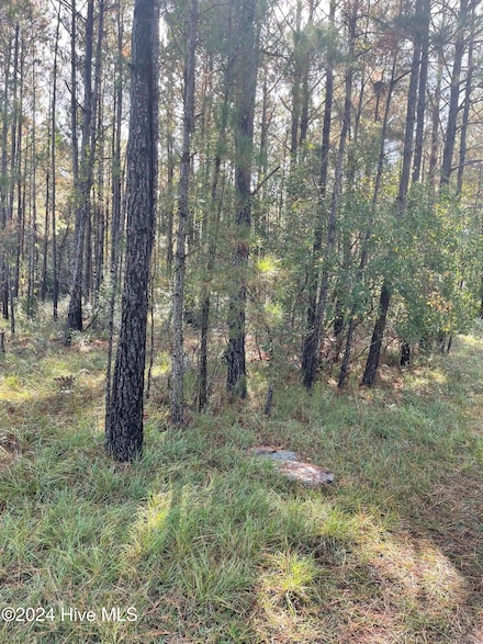 2234 SW Red Bud, Supply, NC 28462