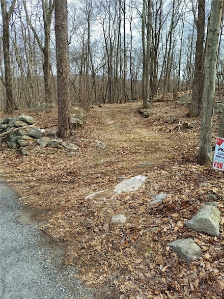489 Grape Hollow Rd, East Fishkill, NY 12531