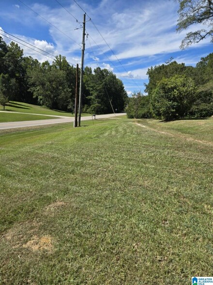 6366 County Road 55, Wilsonville, AL 35186