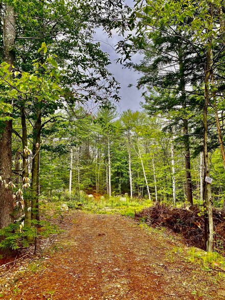 00 Davis Hill Rd Unit 5-2, Center Conway, NH 03813