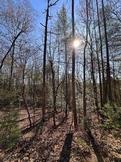 Lt 8 Bobcat Ln, Murphy, NC 28906
