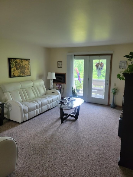 510 Westlawn Dr Unit 206, Cottage Grove, WI 53527