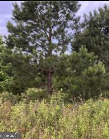 0 Sandy Dr Unit 10507984, Hawkinsville, GA 31036