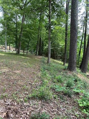 199 Davy Crockett Ct, Hemphill, TX 75948