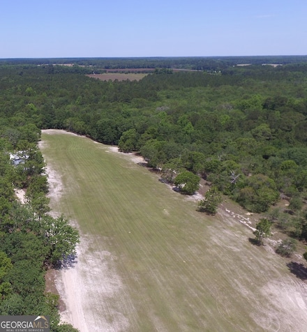 0 Ben Grady Collins Rd Unit LOT 3 10534788, Portal, GA 30450