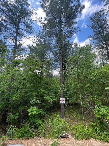 703 Timber Creek Trails South Xl, Broken Bow, OK 74728