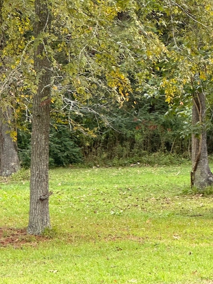 Off of Fm 1409, Old River-Winfree, TX 77523