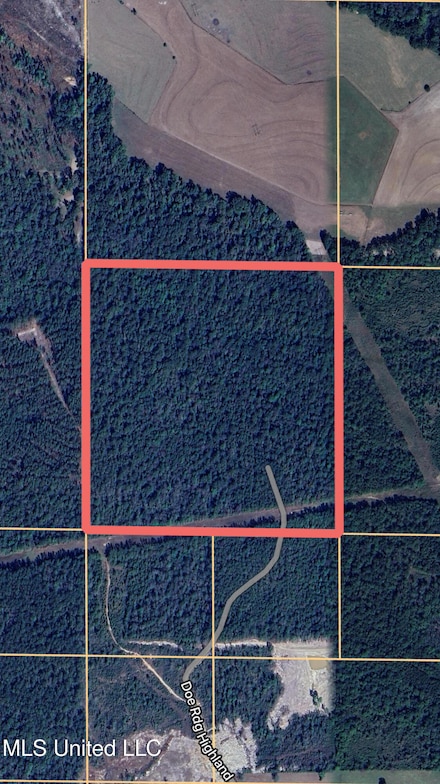 0 Doe Ridge Highland, Lucedale, MS 39452