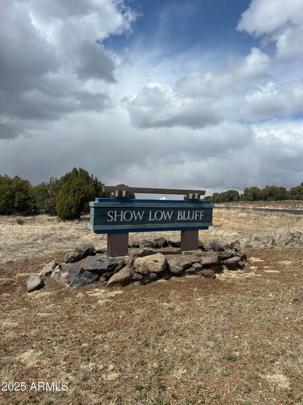 520 S Rockcreek Dr Unit 43, Show Low, AZ 85901