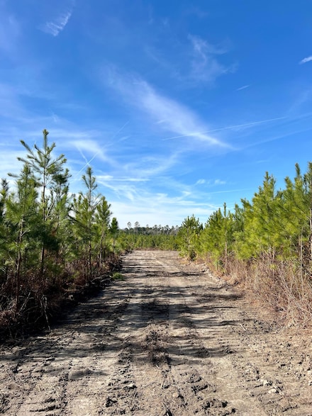 1004 Field Trial Rd, Camden, SC 29020