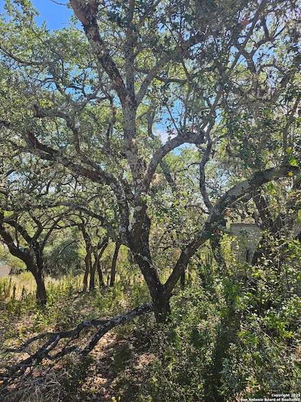 1437 Trail Ridge Dr, Canyon Lake, TX 78133