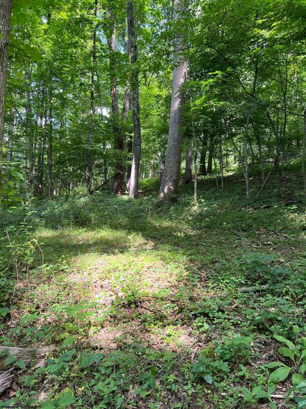 TBD Coplin Run Rd, Bridgeport, WV 26330