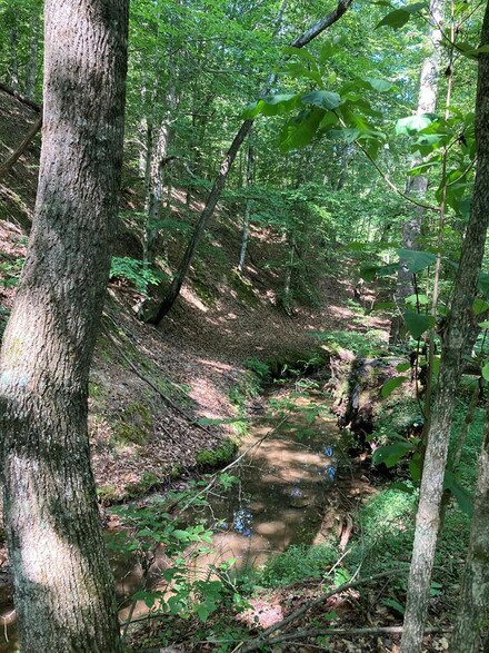 00 Morgan Ford Rd, Ridgeway, VA 24148