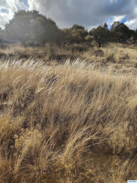 xx Cottonwood Rd, Silver City, NM 88061