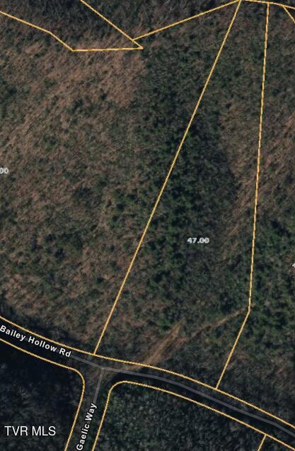 Lot 4 Bailey Hollow Rd, Erwin, TN 37650