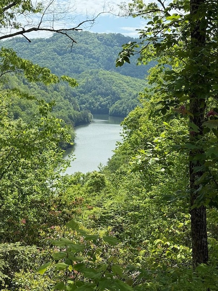 Lot 34 Hawks Ridge, Bryson City, NC 28713
