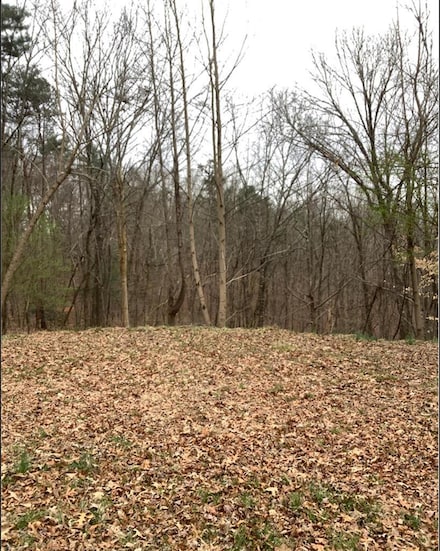 Lot 59 Timberwalk Dr, Ellijay, GA 30540