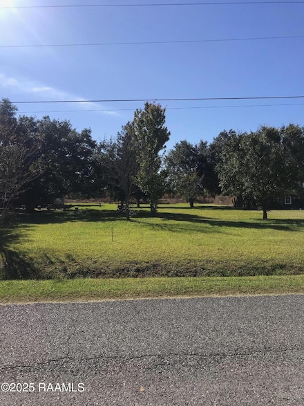 Tbd Rene O Guidry Rd, Breaux Bridge, LA 70517