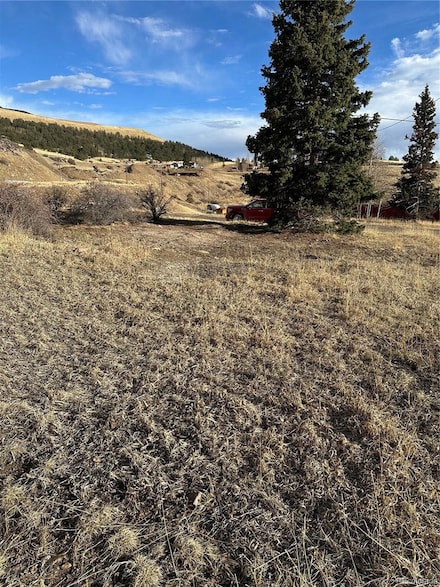 0 Whiting Ave, Cripple Creek, CO 80813