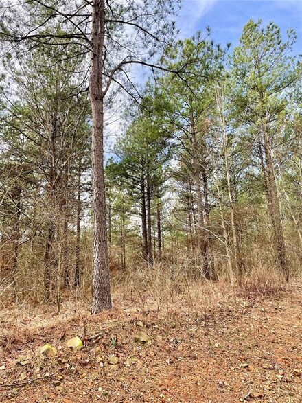 747 Timber Creek Trails South Xl, Broken Bow, OK 74728