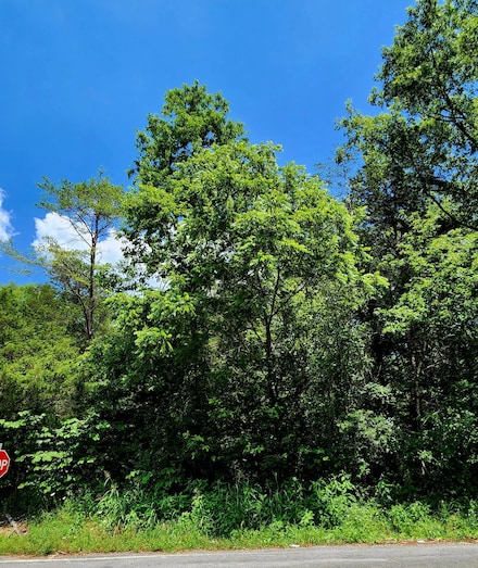 0 E Valley Rd Unit 1516089, Pikeville, TN 37367