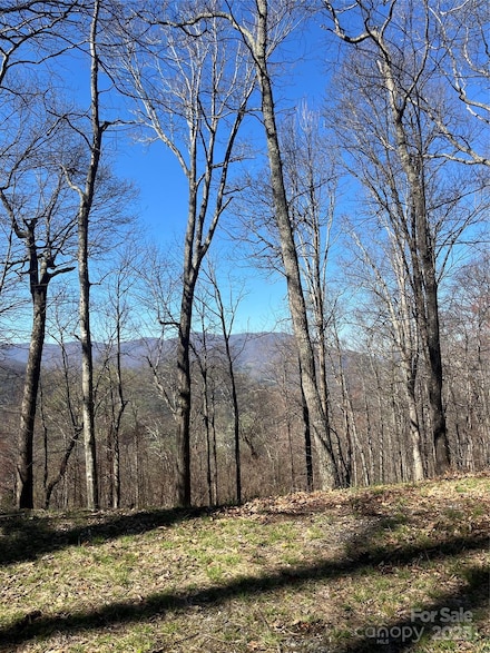 000 Weatherwatch Ln, Waynesville, NC 28786
