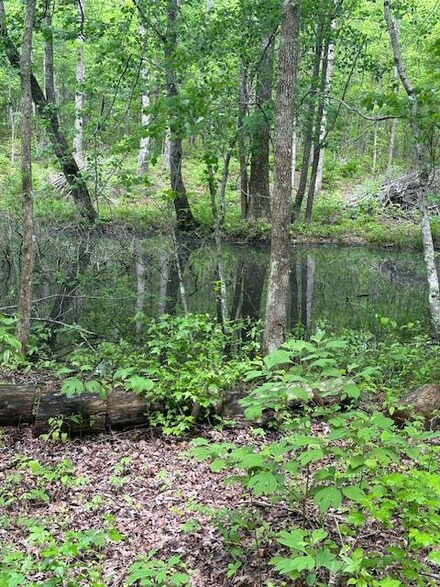 1038 Parkstown Rd, Wilder, TN 38589