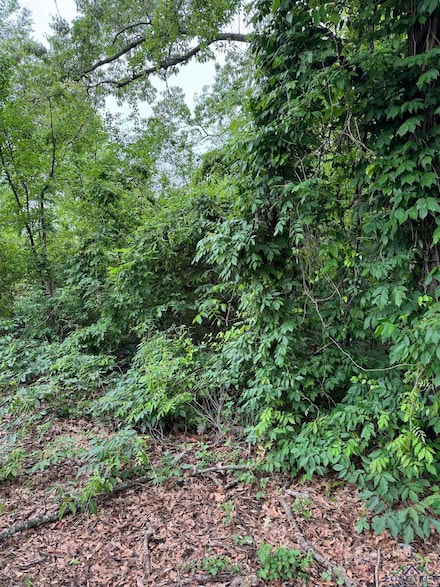 0 Moore St, Longview, TX 75601