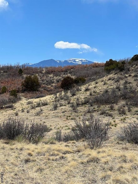 Lot 583 Fort Scott, Colorado City, CO 81019