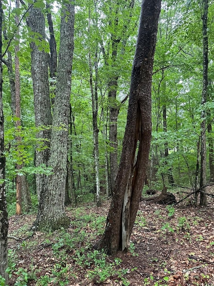 Lot 11 Mountain Top Dr, Palmer, TN 37365