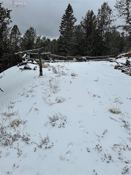110 Brown Bear Ln, Cripple Creek, CO 80813