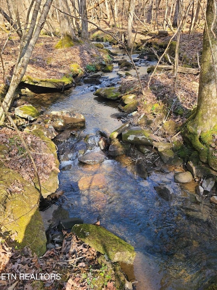 616 Coon Hollow Rd, Sunbright, TN 37872
