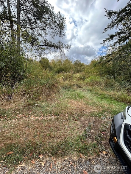 0 Nicholson Rd Unit NWM2416744, Toledo, WA 98591