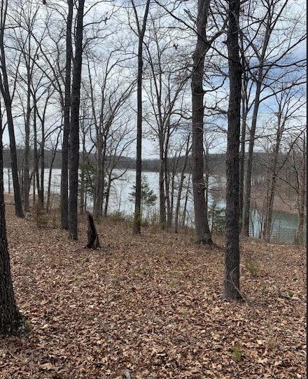 Tbd Tract 6 Sans Souci Dr, Shell Knob, MO 65747