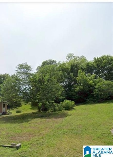 3800 Gillispie Rd, Dolomite, AL 35061