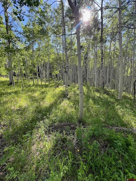 TBD Eagles Rest, Cimarron, CO 81220