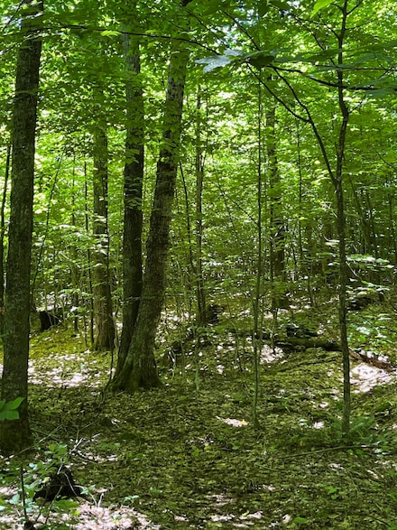 3C Westover Rd, Jay, VT 05859