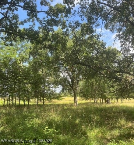 Tract 17 Bean Patch Loop, Howe, OK 74940