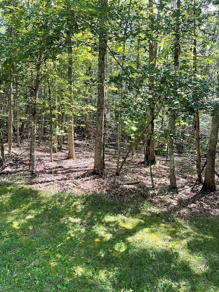 222 Mountain Laurel Rd Unit 43, Daniels, WV 25832