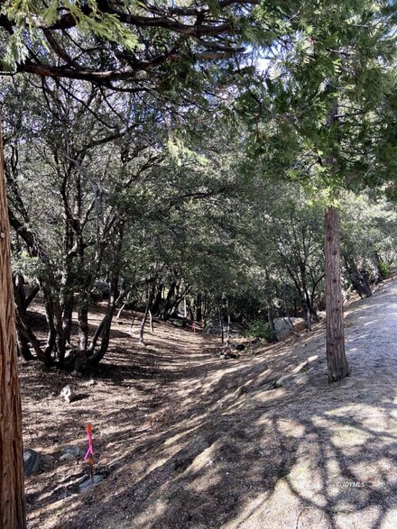 26393 Crestview Dr, Idyllwild-Pine Cove, CA 92549