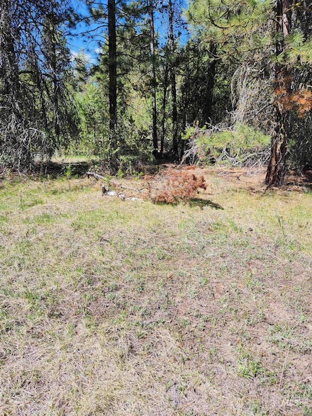 Lot 3 Block 1 Riverview Park Sub, Cascade, ID 83611