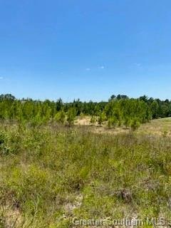 0 Stanley Rd Unit SWL24000993, Leesville, LA 71446