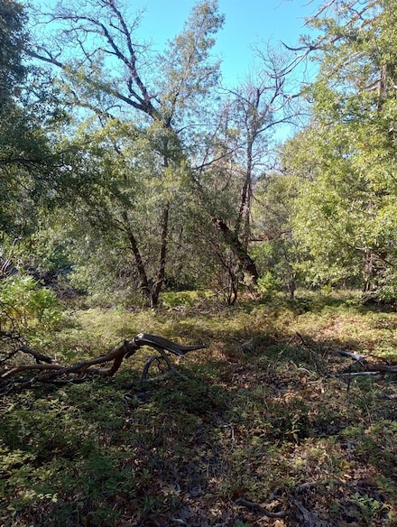 2725 Moody Ridge Rd, Gold Run, CA 95717