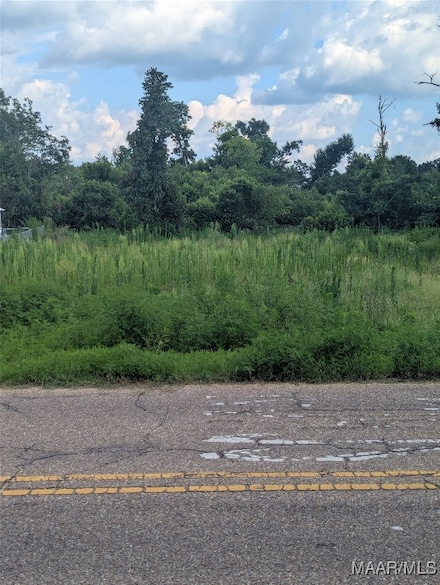 1909 Old Orrville Rd, Selma, AL 36701