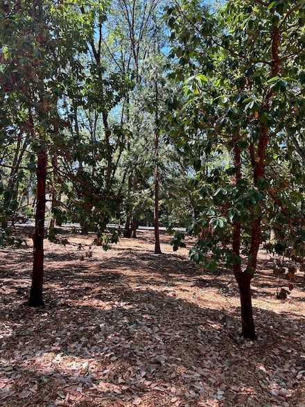 13028 Somerset Dr, Grass Valley, CA 95945