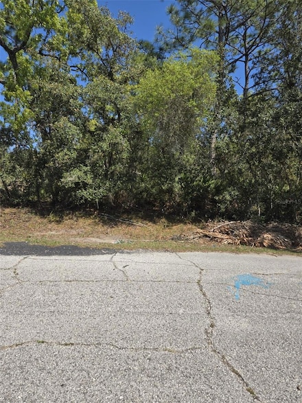 0 Rainbow Ct Unit MFRS5122792, Poinciana, FL 34759