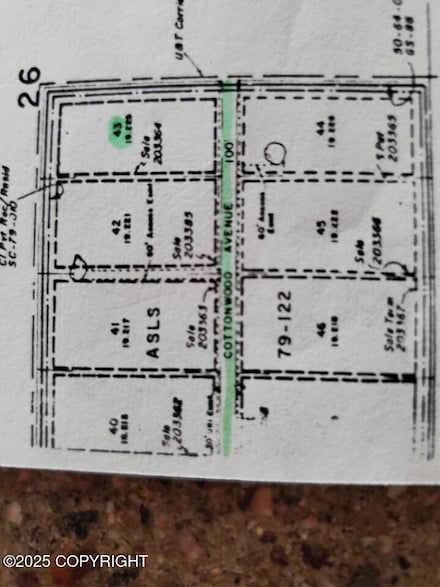 L43 Cottonwood Dr, Chitina, AK 99573