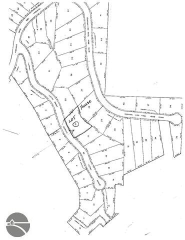 0 Spring Valley Rd Unit 19 1746104, Beulah, MI 49617