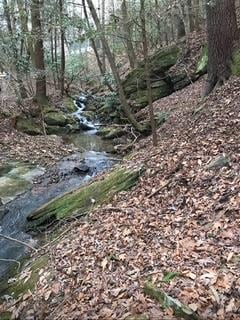 00 Lemmon Ln, Ellijay, GA 30540