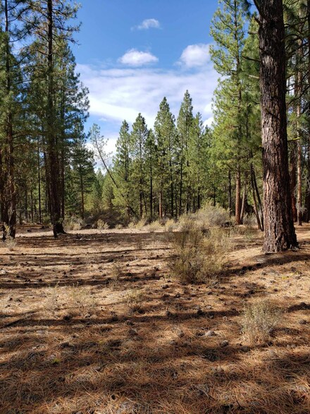 0 Mclemore Way Unit 13 220177633, Chiloquin, OR 97624